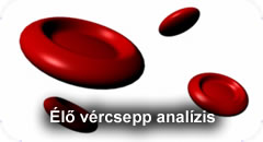 Élő vércsepp analízis